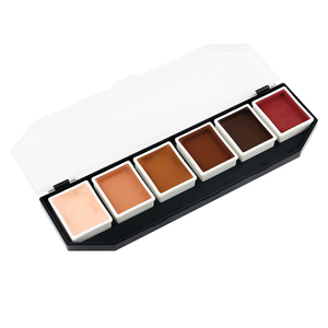 Palette de peinture corporelle activée à l'alcool, 6 couleurs, tons chair, pour tatouage temporaire et <span class=keywords><strong>maquillage</strong></span> corporel - Product Image 1