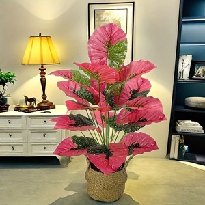 ต้นใบเผือกเทียมในกระถาง ตกแต่งภายในบ้าน ใบสีชมพูเขียว ขนาดใหญ่ - Product Image 3
