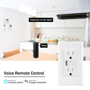 Thông minh Wifi ổ cắm với cổng USB Google Home & Alexa điều khiển bằng giọng nói tuya công nghệ 15A tường cắm 2 AC cửa hàng 125V ETL cho - Product Image 1