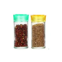 Quality Circular Spice Jar mini salt pepper shaker Powder 100ml Glass Spice Bottles