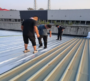 Conception moderne Deux-en-un <span class=keywords><strong>Isolation</strong></span> thermique pour <span class=keywords><strong>toiture</strong></span> et matériau adhésif imperméable Polymère <span class=keywords><strong>multicouche</strong></span> sans butyle Tuiles métalliques <span class=keywords><strong>Toiture</strong></span> - Product Image 6