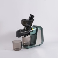 Gemakkelijk Schoon Te Maken Puur Sap Maken Machine Slow Juicer Koude Pers Professionele Juicer Afzuigmachine Fruit Slowjuicer
