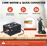 Compresseur d'air PCP 12V 4500psi 300bar 30mpa, mini pompe PCP, comprenant un transformateur 220V, haute pression 12V pour véhicule