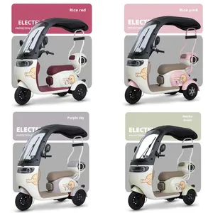 Nuevo Triciclo Eléctrico, Scooter Abierto, Vehículo Familiar para Recoger y Dejar Niños, Ocio, Personas Mayores, con Toldo, Bicicleta con Batería - Product Image 6