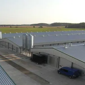 automatic climate-controlled environments fully equipped chicken hatchery and breeding sheds