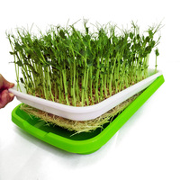 Plateau de semis rectangulaire, plantation Durable pour plantes, rectangulaire, en plastique, microverts, pour semis