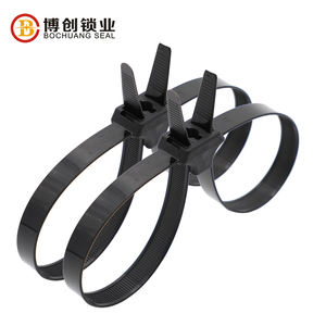 Venta caliente China Factory <span class=keywords><strong>Pull</strong></span> <span class=keywords><strong>Tight</strong></span> Double <span class=keywords><strong>Lock</strong></span> Nylon <span class=keywords><strong>Cable</strong></span> Tie Sello de plástico - Product Image 4