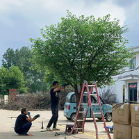 Grand arbre de pin artificiel réaliste, arbres artificiels d'extérieur, plantes artificielles en plastique, longue durée de vie, pour le jardin