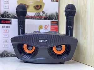 20W Bass Sound Family KTV SD306 2-en-1 Karaoke portátil <span class=keywords><strong>BT</strong></span> Altavoz inalámbrico con doble micrófono de mano Altavoz de búho - Product Image 4
