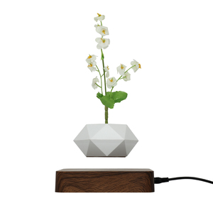 Pot de fleurs bonsaï à <span class=keywords><strong>suspension</strong></span> à lévitation magnétique de haute qualité en gros - Product Image 5