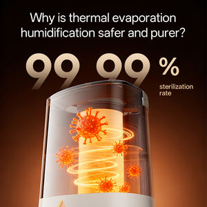 99.99% Sterilisatie Grote Watertank Luchtbevochtiger Mist Volume Dubbel Mondstuk Usb Draagbaar Voor Slaapkamer & Hotel Gebruik - Product Image 4