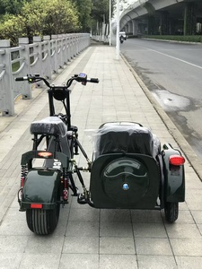 Tricycle électrique de haute qualité, <span class=keywords><strong>vélo</strong></span> électrique à pédales avec side-car, moto électrique pour adultes - Product Image 6