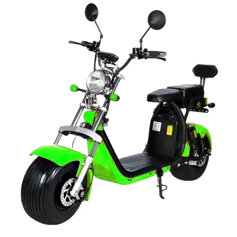 2024 çıkarılabilir lityum pil elektrikli scooter 1500 watt EEC/COC yetişkin ab depo stokları