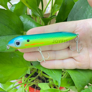 <span class=keywords><strong>Leurre</strong></span> Artificiel Flottant en Acier Inoxydable 100mm 11g pour Pêche au Bar, Type Crayon, Appât Bionique pour Chien, Hameçons de Pêche en Gros 9017 - Product Image 4