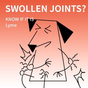 Hangzhou Itgen Dierenarts Snelle Testkit <span class=keywords><strong>Test</strong></span> <span class=keywords><strong>Strips</strong></span> Lyme Ziekte <span class=keywords><strong>Test</strong></span> Voor Honden - Product Image 2