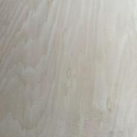Vente directe usine – Prix spécial – Panneau MDF en bois de 18 mm pour découpe laser – Contreplaqué de tilleul stratifié