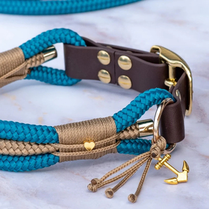 Collier et <span class=keywords><strong>laisse</strong></span> pour chien en cuir, corde ronde personnalisée 10mm/12mm, collier <span class=keywords><strong>de</strong></span> luxe pour chiens - Product Image 3