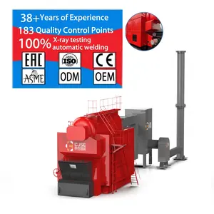 CJSE best excellent dzl steam boiler price list outdoor biomass boiler wood burning boiler and stoves for industry machine