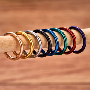 Anel de Nariz em Titânio G23 16G 18G 20G, Argolas para Septo, Cartilagem, Helix, Daith, Clicker Articulado, Brincos Femininos, Joias para Piercing - Product Image 4