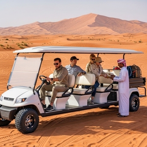 Voiturette de <span class=keywords><strong>golf</strong></span> électrique Holladay 72V avec une autonomie de 90 km, boîte de chargement utilitaire, fonctionnalités de tourisme - Product Image 1