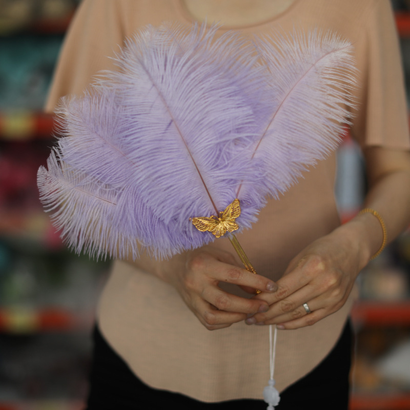 Papillon à manche doré violet clair