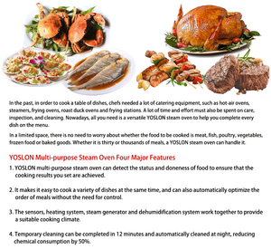 فرن كومبي كهربائي من YOSLON 60 لتر للفنادق والمقاهي متعددة الأغراض فرن هوائي متعدد الأغراض للمخابز - Product Image 6