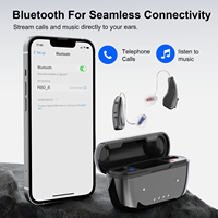 Vienatone R80 USA Vente Chaude Écouteur BTE Rechargeable Appareil Auditif Numérique RIC avec Contrôle Sans Fil Bluetooth APP