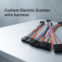 Kabel Konektor Skuter Listrik Elektronik Shanyou Kustom JST SH/ZH/PH/XH/VH Rakitan Kabel Harness 1.0/1.5/2.0/2.5mm Pitch