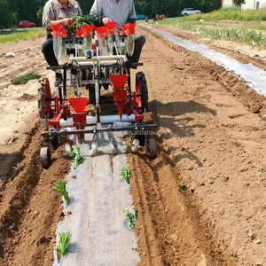 Vegetable Two row plant seedling transplanting machine