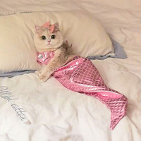 Niedliches Meerjungfrauen-Cosplay-Kostüm für Haustiere, lustiger Katzen-Bikini, Fischschwanz-Badeanzug, Halloween-Party-Verkleidung für Kätzchen und kleine Haustiere