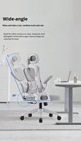 Chaise de bureau ergonomique moderne en maille avec support lombaire, base 5 étoiles en acier inoxydable, hauteur réglable pour le travail et le jeu