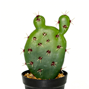 <span class=keywords><strong>Cactus</strong></span> artificiel haut de gamme, plante de bureau, simulation de <span class=keywords><strong>cactus</strong></span> du désert avec pot en plastique noir - Product Image 6