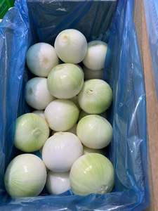 Gepelde ui, helemaal in de koudeketen verwerkt, vacuüm verpakt om de versheid te behouden en de originele uiensmaak te behouden. - Product Image 3