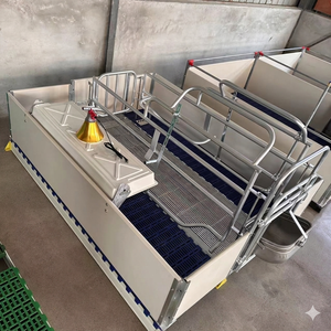 Équipement <span class=keywords><strong>d</strong></span>'élevage porcin économique : Cages de gestation et <span class=keywords><strong>d</strong></span>'accouchement pour truies, galvanisées à chaud 2,0 mm, style européen / en promotion - Product Image 5