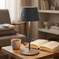 Lampe de table LED sans fil à commande tactile et intensité variable, style européen simple, corps en plastique et métal, recharge USB, lampe de chevet – Offre spéciale
