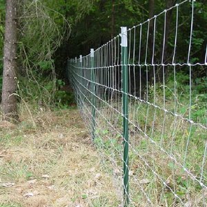 Malla de Alambre Galvanizado de 8' Económica para Cercas de Campo, Caza de Ciervos y Ovejas, y Granjas - Product Image 6