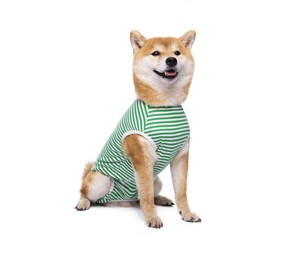 Roupa de Recuperação para Cães Após Cirurgia - Roupa Protetora para Castração e Ferimentos para Cães <span class=keywords><strong>Labrador</strong></span> de Médio e Grande Porte, Camisa Cirúrgica para Animais de Estimação - Product Image 3