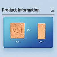 Matériaux filtrants pour aquarium Heru, briques carrées nano en terre cuite de 150 ml pour la culture de bactéries nitrifiantes et la purification de l'eau de mer