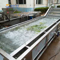Elektrische Obstwaschmaschine aus Lebensmittelqualität Edelstahl, Blasenwaschmaschine für Gemüseverarbeitungslinien