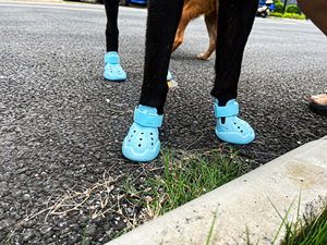Zapatos para Perro de Alta Calidad, Estilo Lindo, para <span class=keywords><strong>Perros</strong></span> Pequeños, <span class=keywords><strong>Botas</strong></span> Impermeables para Perro, 1 Pieza - Product Image 2