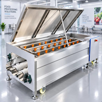 Commerciële wortelgewaswasser, borstel en schiller voor het reinigen van aardappel, gember, wortel, yam en taro.