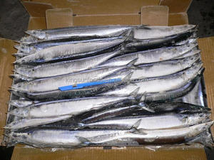 <span class=keywords><strong>Saury</strong></span> du Pacifique surgelé, frais et de première qualité, nouvelle arrivée - Product Image 5