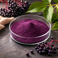 Leverancier van natuurlijk zwart vlierbessenextract Anthocyanidinen 10% 25% Vlierbessenextract