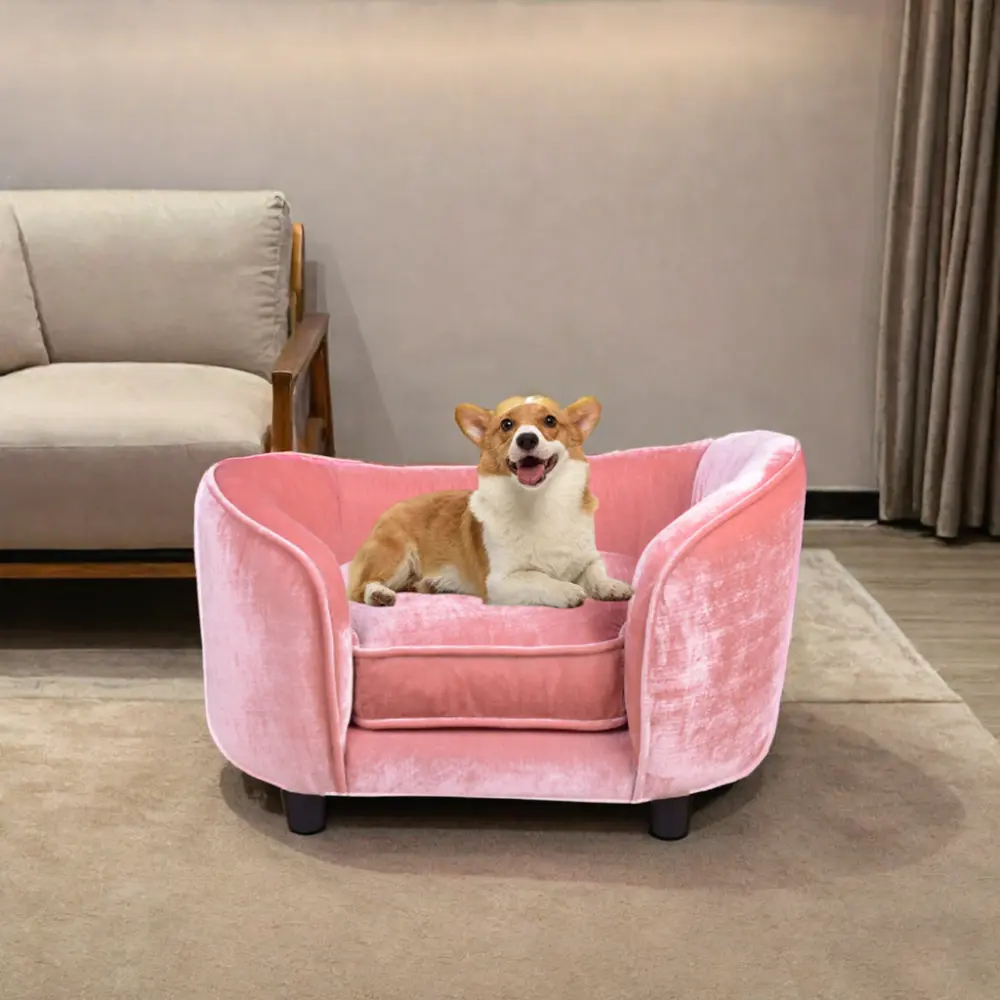 Simple dog bed design pet furniture sofa non-slip bottom