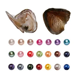 Groß großhandel hohe qualität süßwasser wünschen oyster 6-8mm runde perle austern mit wünschen perlen im inneren