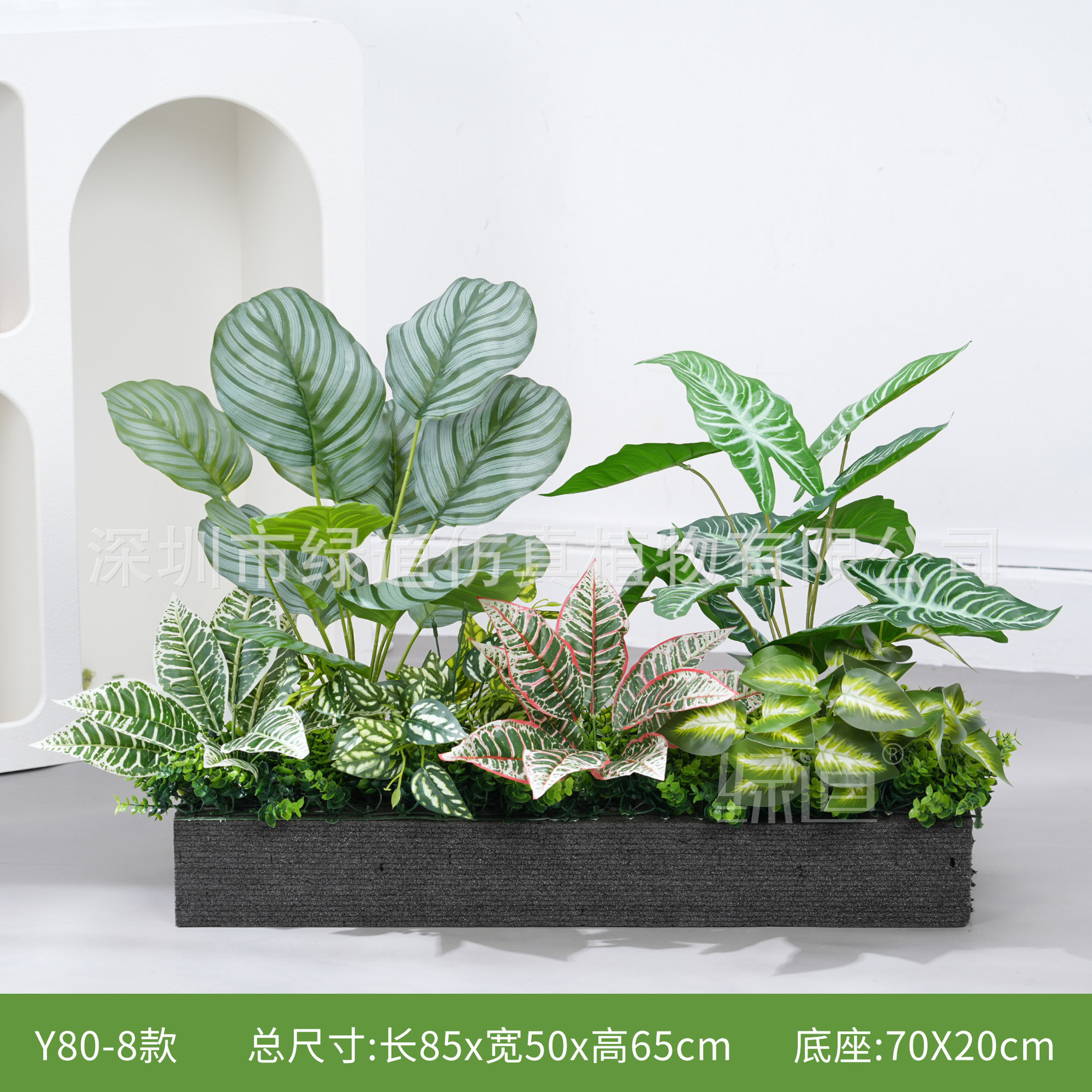 hc-Y80-8 convient aux jardinières de 80 cm