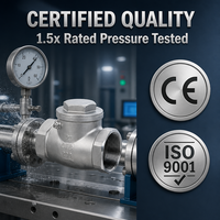 Válvula de Retención de Giro de 2 Pulgadas, Acero Inoxidable CF8 200 WOG, Rosca NPT BSP, para Tuberías Industriales de Agua, Aceite y Gas
