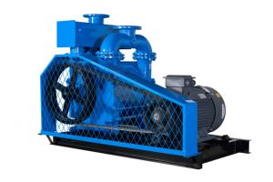 ระบบสุญญากาศกลางสำหรับห้องปลอดเชื้อในการผลิตเซมิคอนดักเตอร์และพื้นที่บริการ ปั๊มสุญญากาศแบบวงแหวนน้ำ 2BEC - Product Image 4