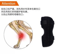 Attelle de genou réglable pour chien, attelle de protection pour articulation du genou, protège les plaies