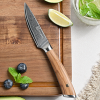 3,5-inch Damascus staal fruitmes, ultra scherp schilmes met olijfhouten handvat, professioneel keukenmes